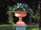 Preview: Eastwell Urn - Farbe Terracotta