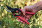 Preview: Flex Bypass Pruner