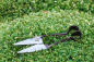 Preview: National Trust Topiary Shears