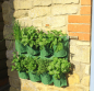 Preview: Herb Wall Planter