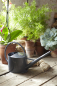 Preview: Sophie Conran Watering Can - Grey