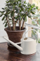Preview: Sophie Conran Watering Can - Buttermilk