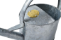 Preview: Sophie Conran Watering Can Galvanized
