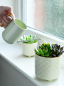 Preview: Indoor Watering Can - Pale Jade