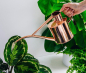 Preview: The Rowley Ripple Indoor Can Copper