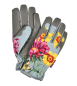Preview: Gloves Asteraceae
