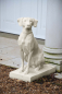 Preview: Jacquemart Hunting Dog L - Farbe Portland