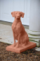 Preview: Jacquemart Hunting Dog L - Farbe Terracotta
