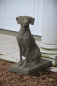 Preview: Jacquemart Hunting Dog L - Slate