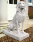 Preview: Jacquemart Hunting Dog R - Farbe Bath