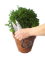 Preview: Professional Topiary Shears Small