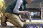 Preview: RHS Bulb Planter