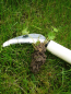 Preview: Lawn Weeding Knife