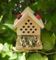 Preview: Gift in a Tin - ake your own Insect House