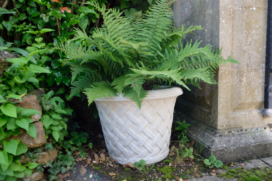 Elizabethan Jardiniere S - Farbe Portland