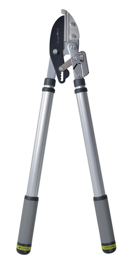 Telescopic Ratchet Lopper