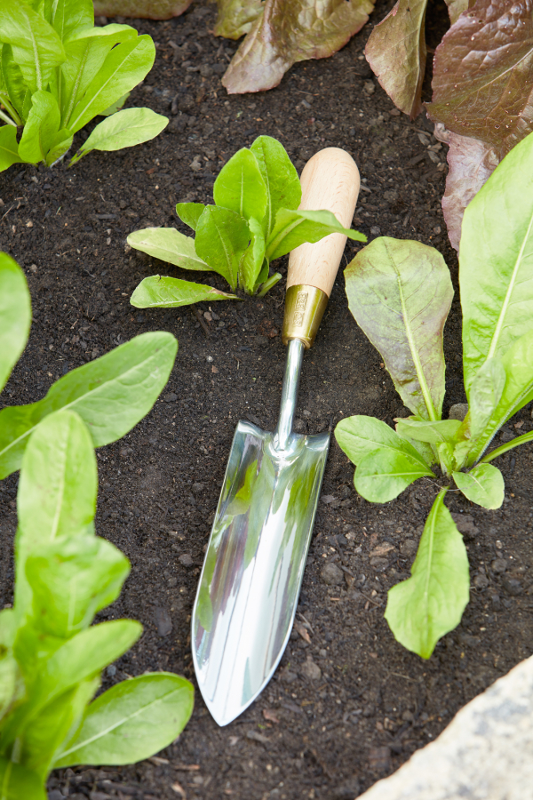 Sophie Conran Long Thin Trowel