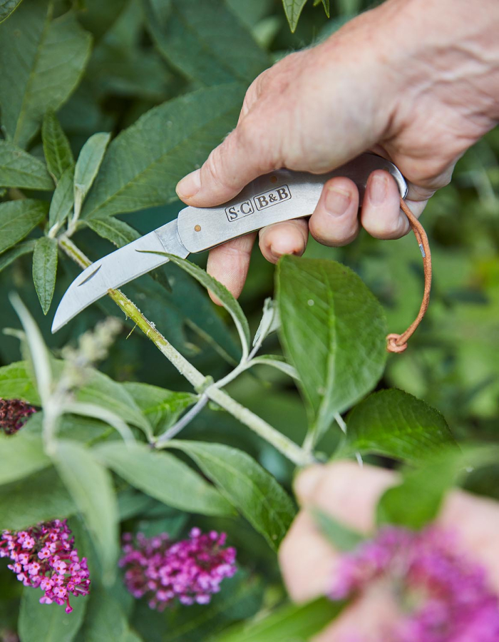 Sophie Conran Pocket Knife