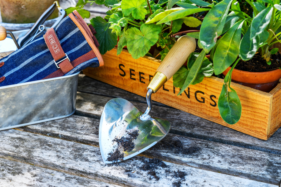 Sophie Conran Heart Shaped Trowel