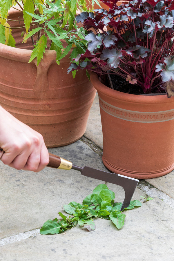 National Trust Patio Weeding Knife