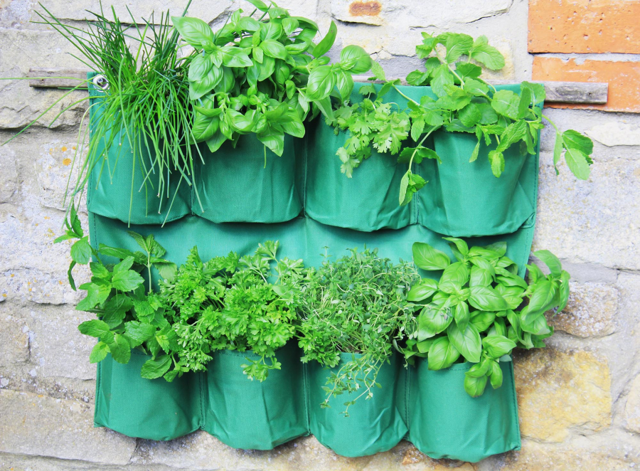 Herb Wall Planter