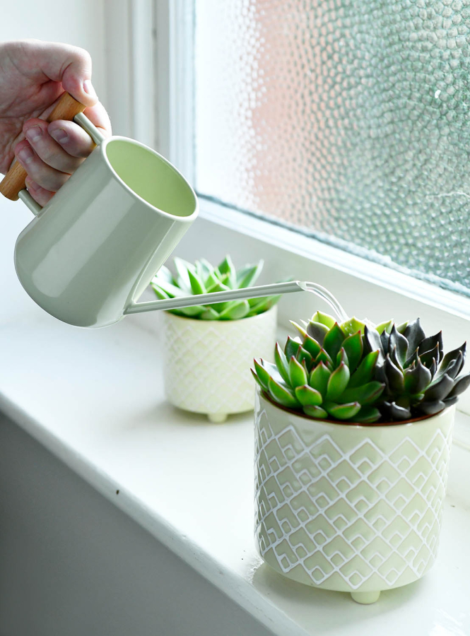 Indoor Watering Can - Pale Jade