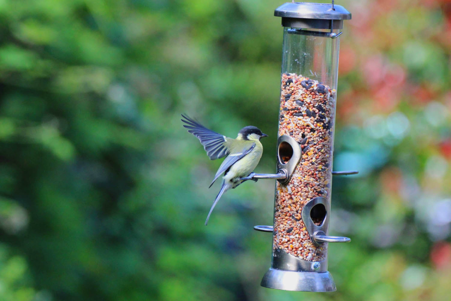 Heritage Seed Feeder