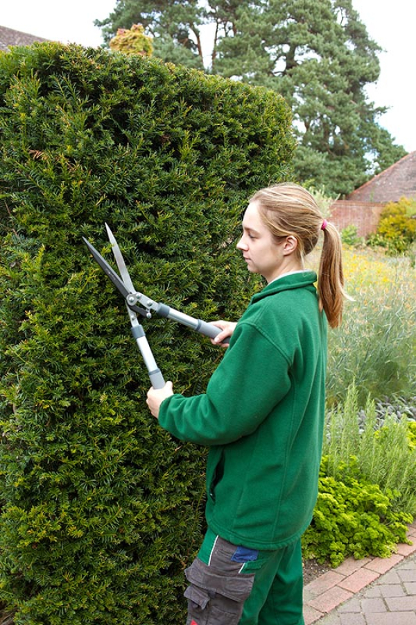 Telescopic Wavy Edged Hedge Shear