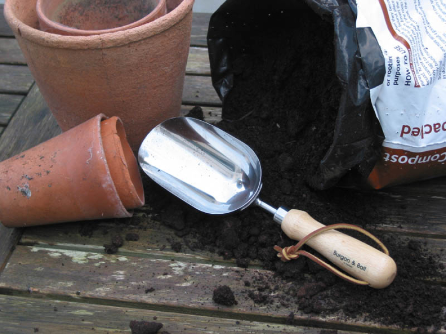 RHS Compost Scoop