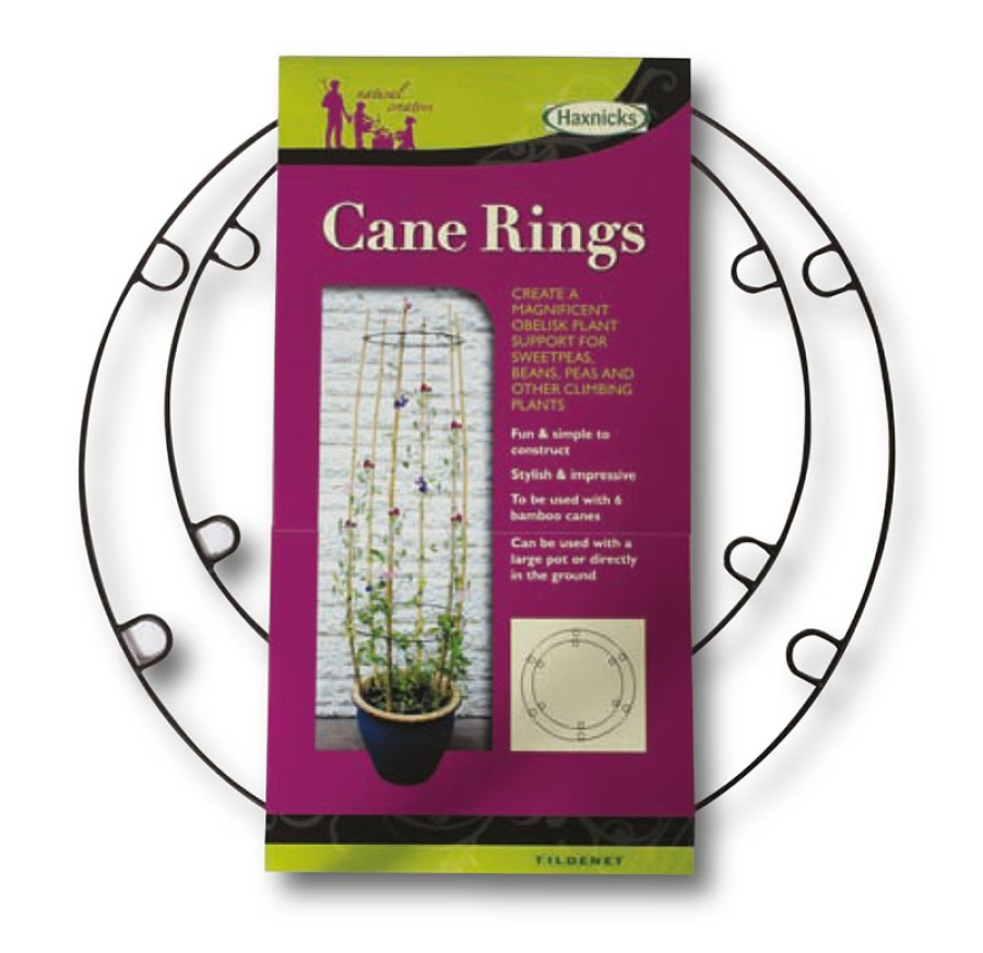 Cane Rings