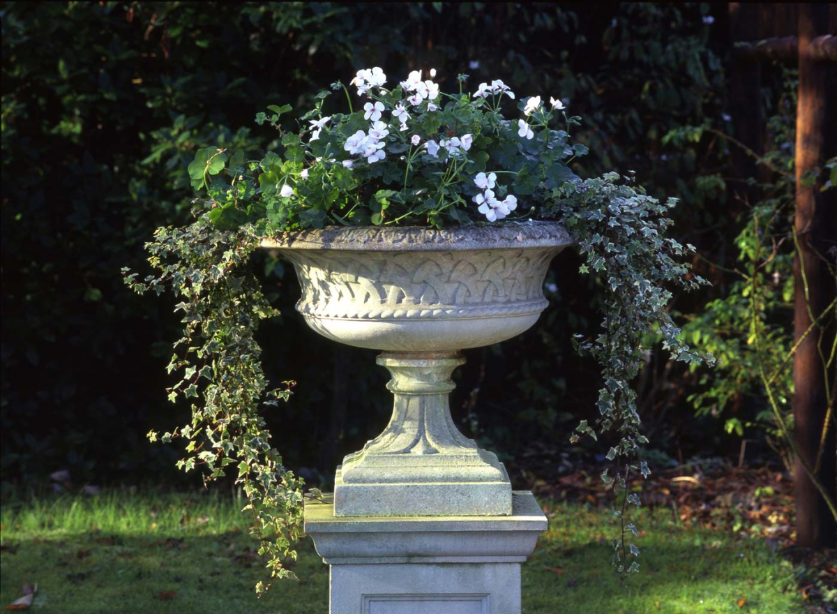 Eastwell Urn - Farbe Portland