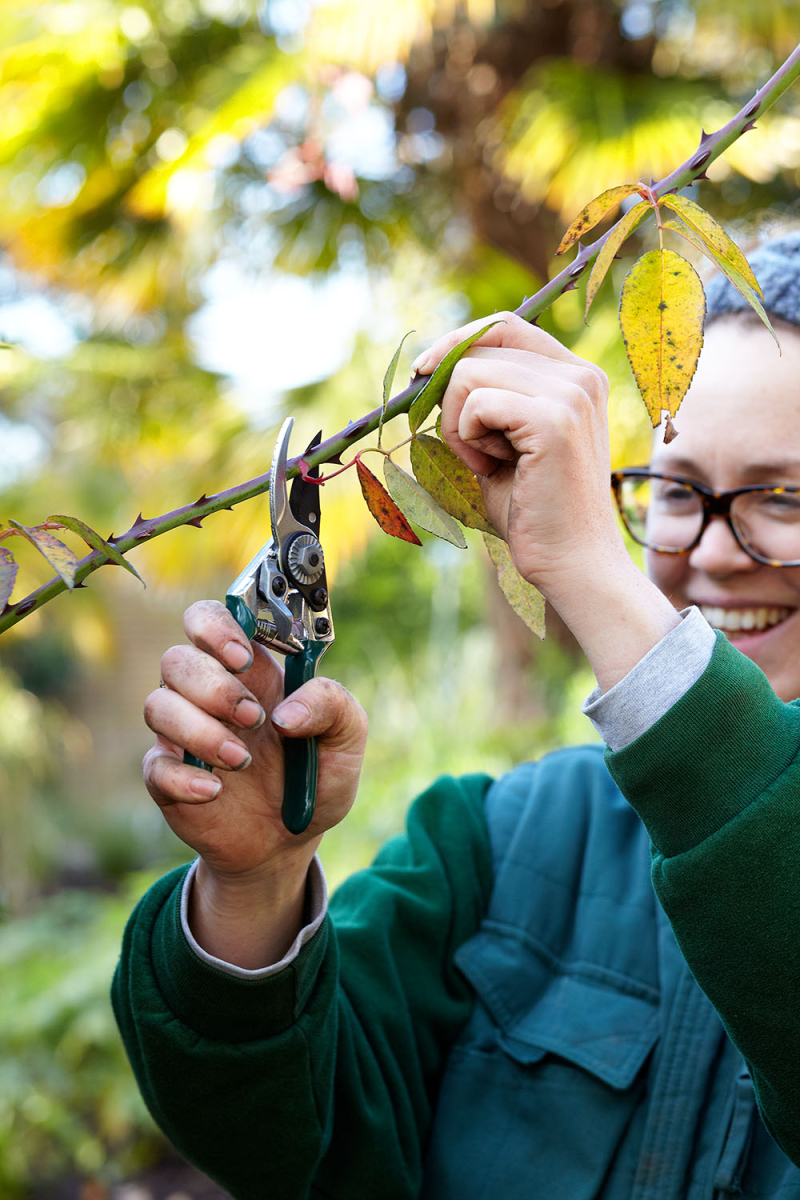 Pocket Pruner