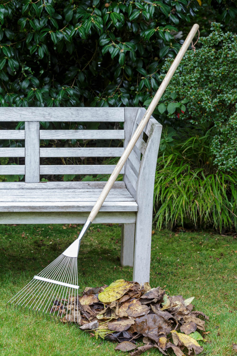 Lawn Rake