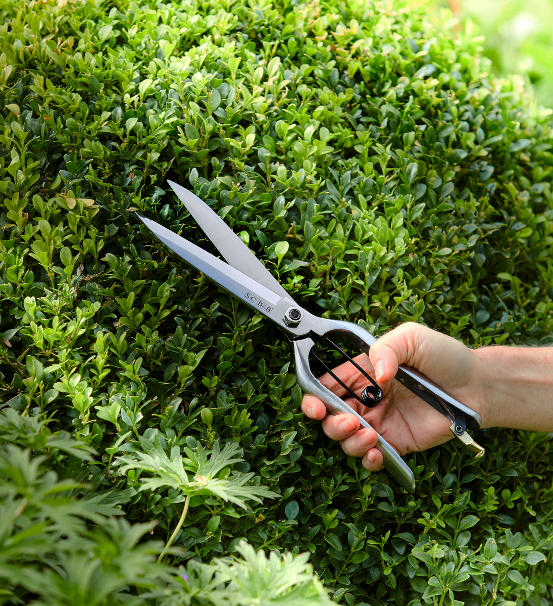 Sophie Conran Topiary Shear