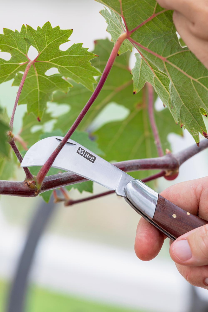 National Trust Pruning Knife