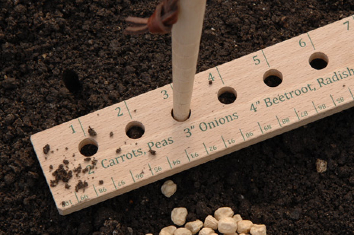 Planting Ruler