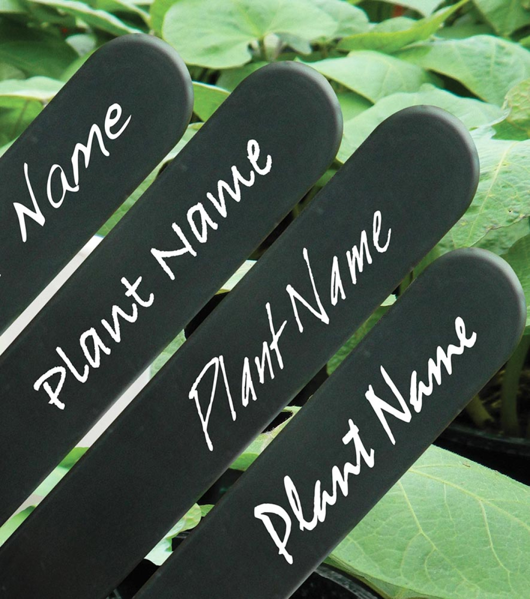 Black Plant Labels