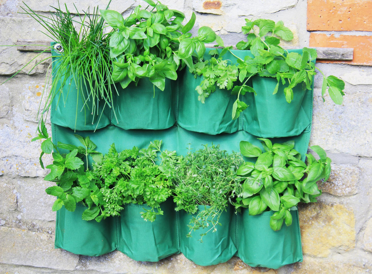 Herb Wall Planter