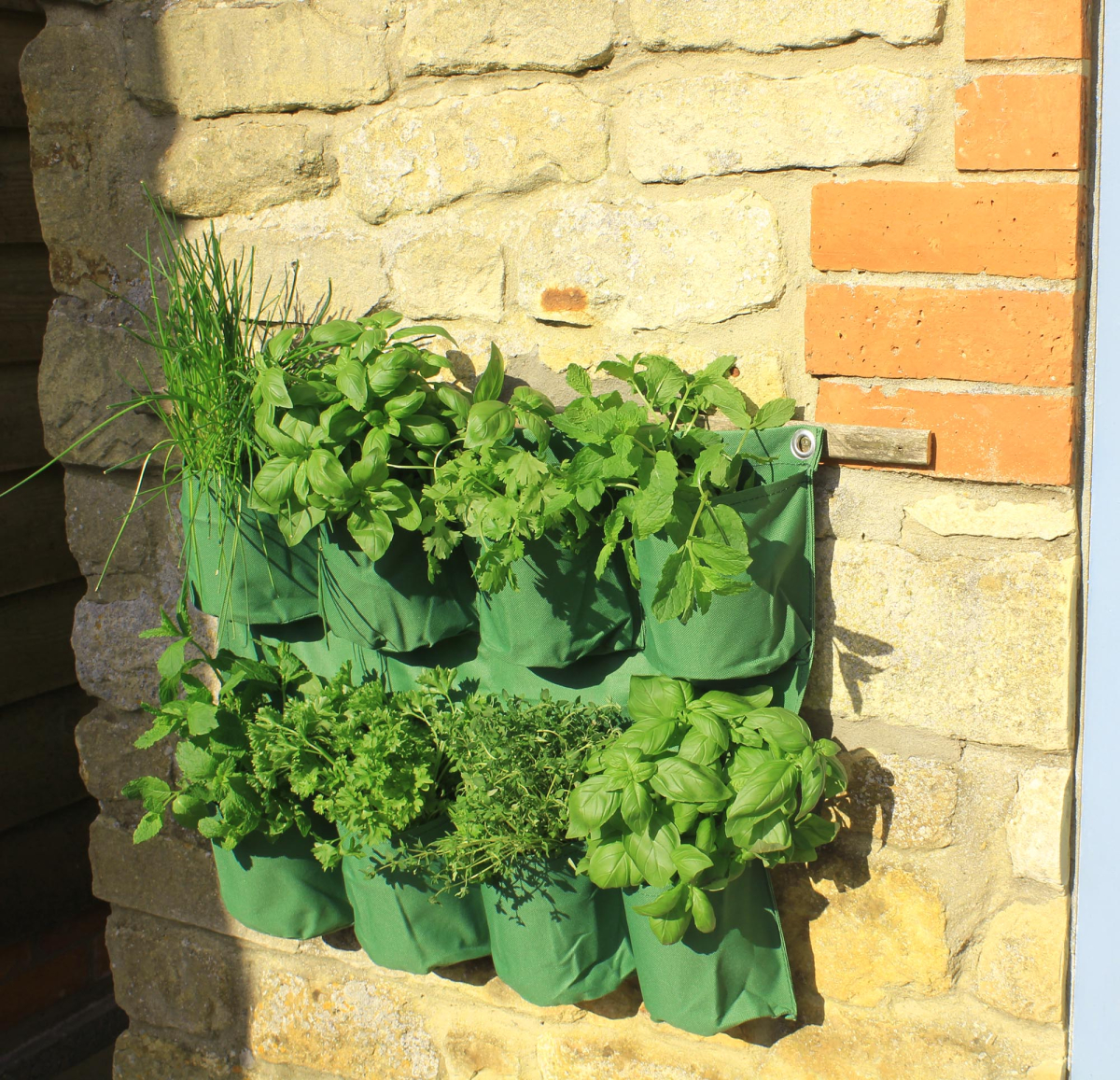 Herb Wall Planter