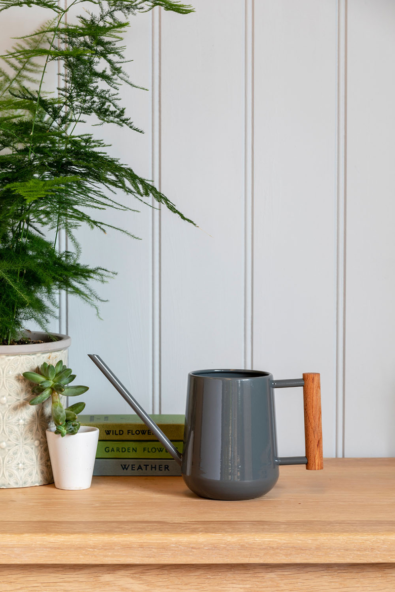 Indoor Watering Can - Charcoal