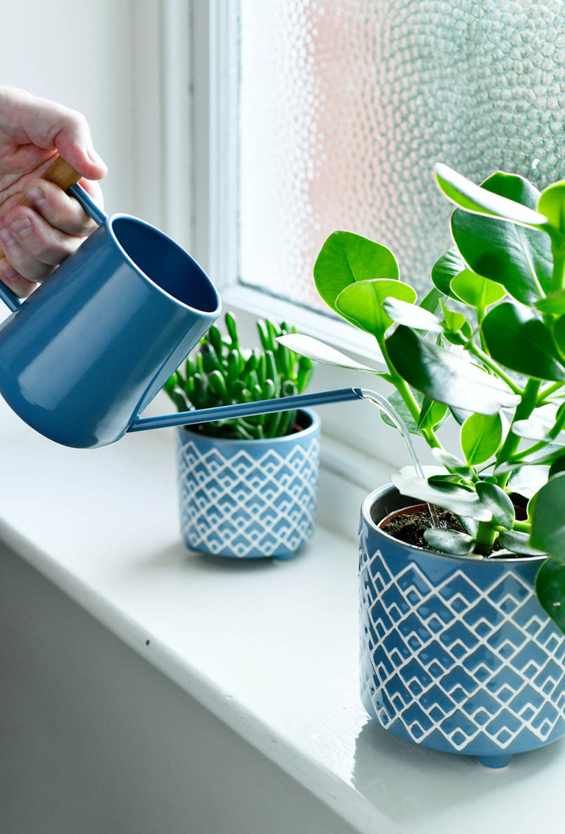 Indoor Watering Can - Heritage Blue