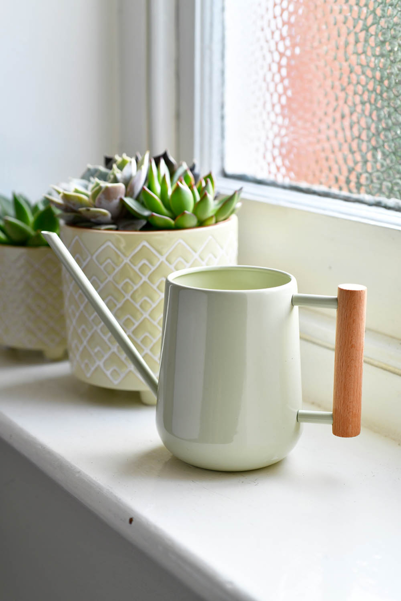 Indoor Watering Can - Pale Jade