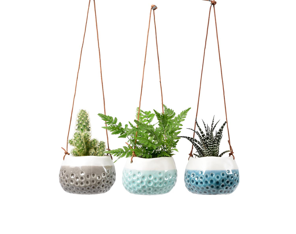 Baby Dotty Hanging Pot Trio