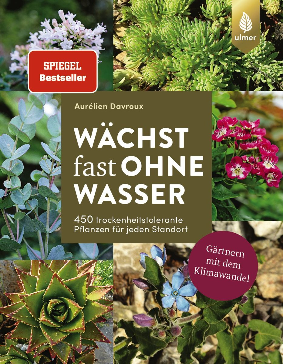 Wächst fast ohne Wasser - Davroux