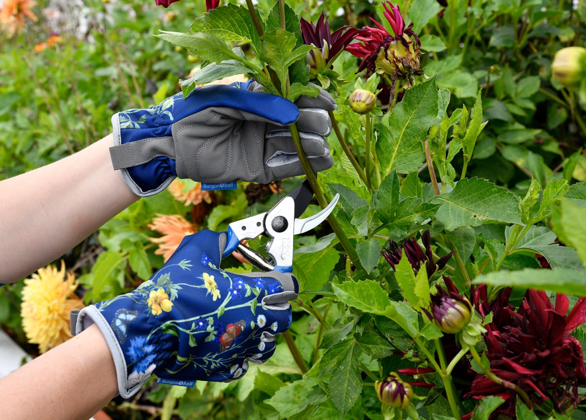 Gloves British Meadow