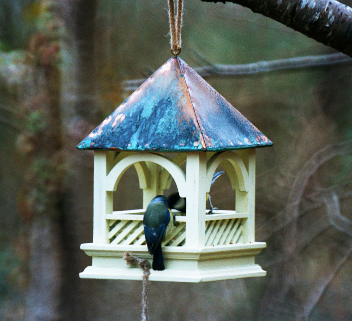 Bempton Hanging Bird Table