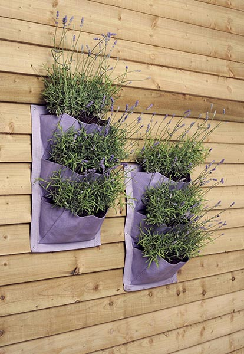 Verti Plant - Lavender