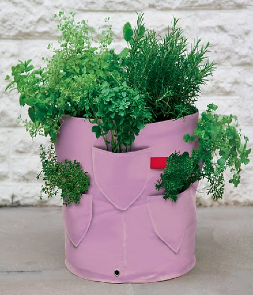 Strawberry and Herb Planter