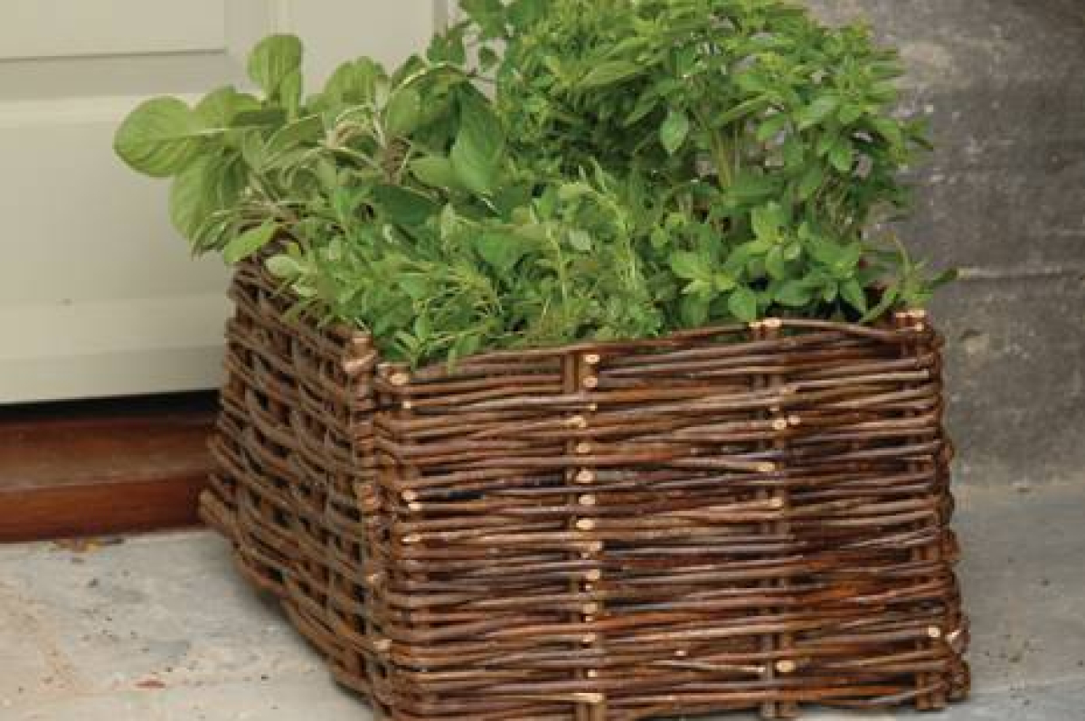 Herb Planter