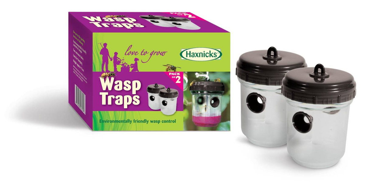 Wasp Traps